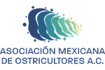 logo_amexo
